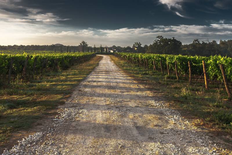 Création d'un système d'arrosage autonome pour domaine viticole dans le Var vers Brignoles